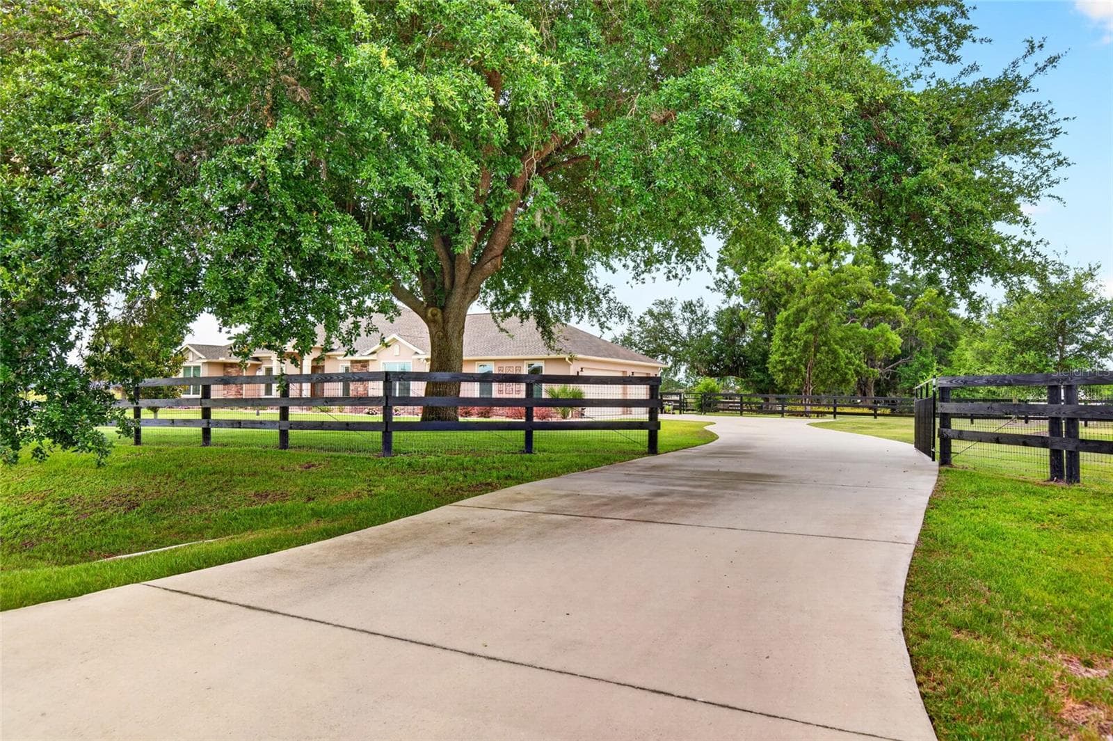 Driveway - 5178 SW 93RD LN, OCALA