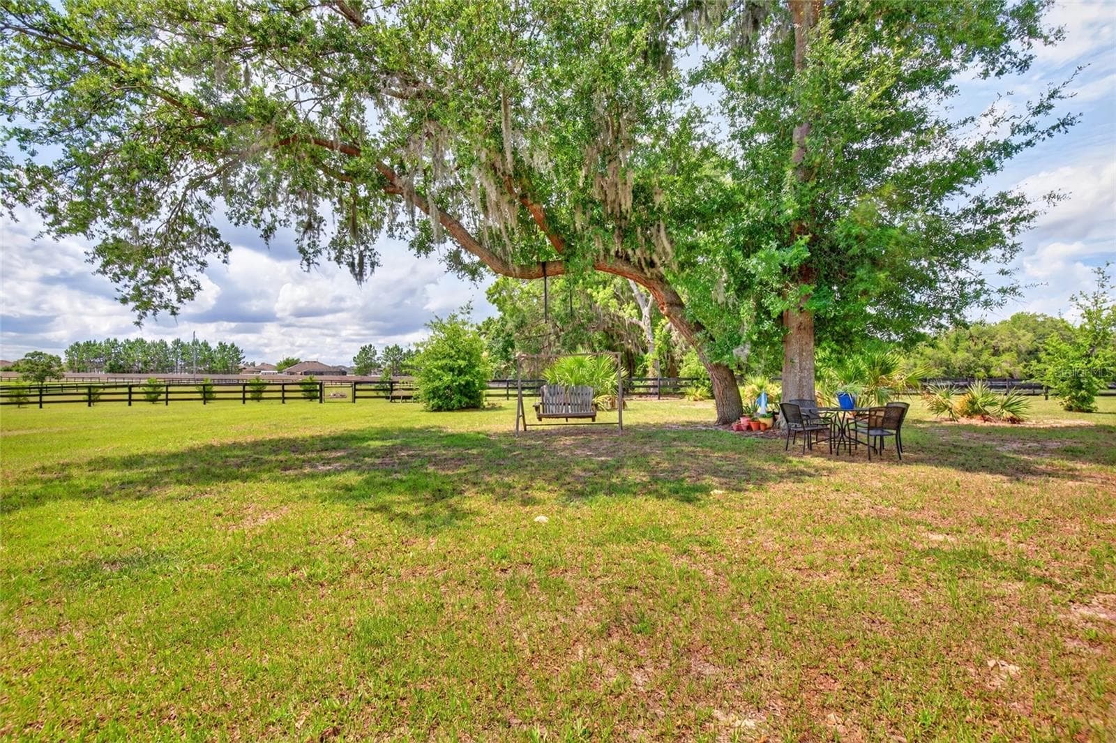 Tree in backyard - 5178 SW 93RD LN, OCALA