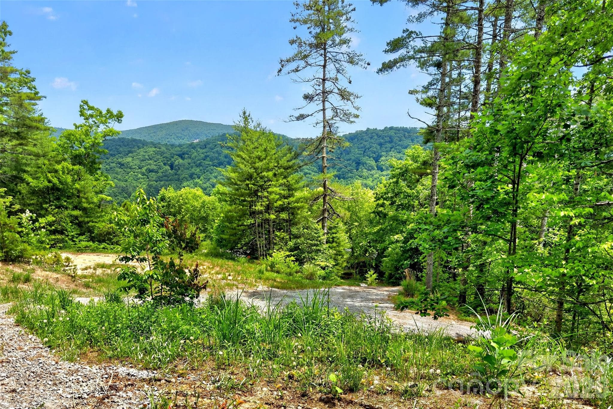 Acreage at Hendersonville, photo 3 of 38