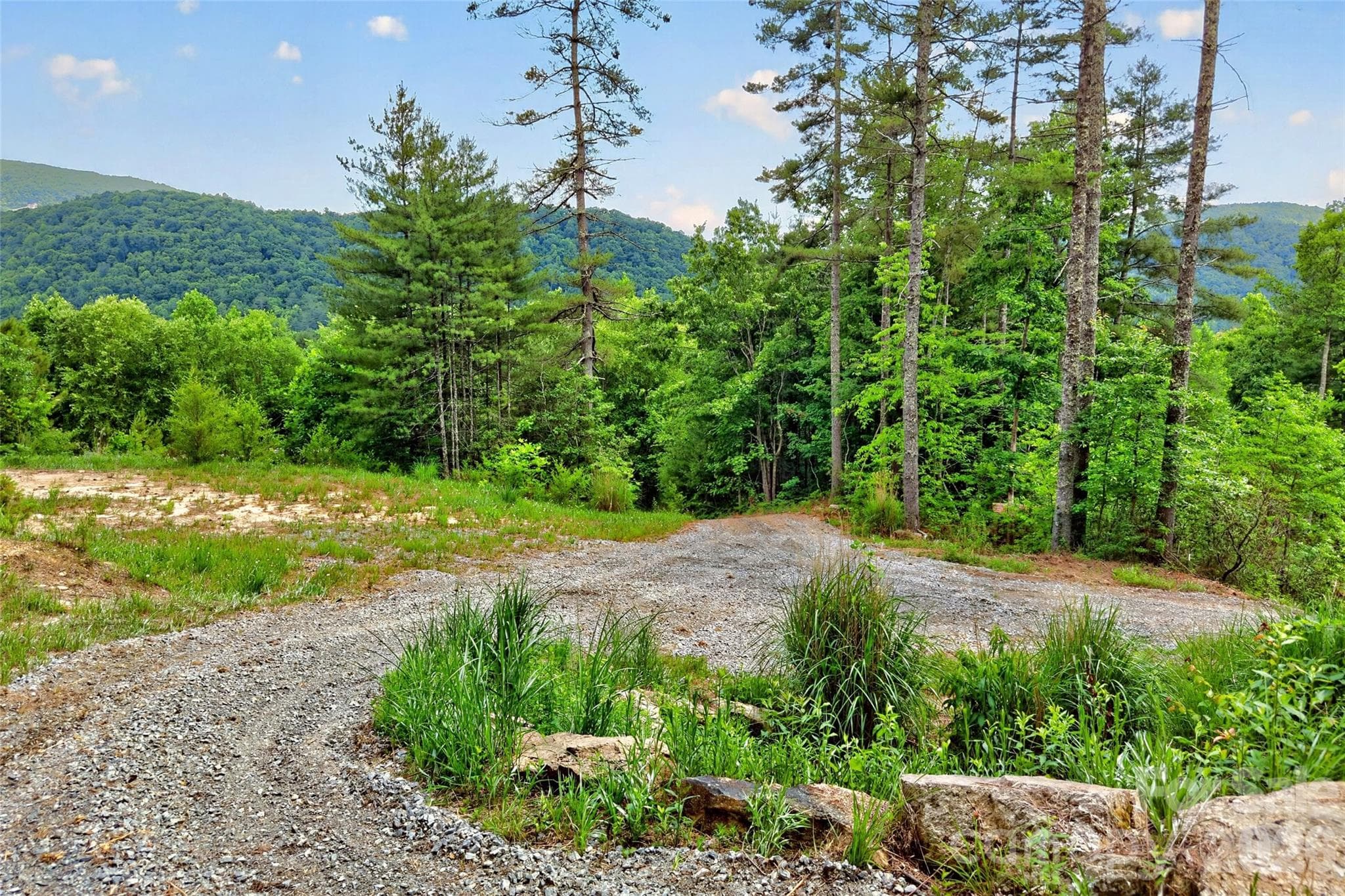 Acreage at Hendersonville, photo 4 of 38