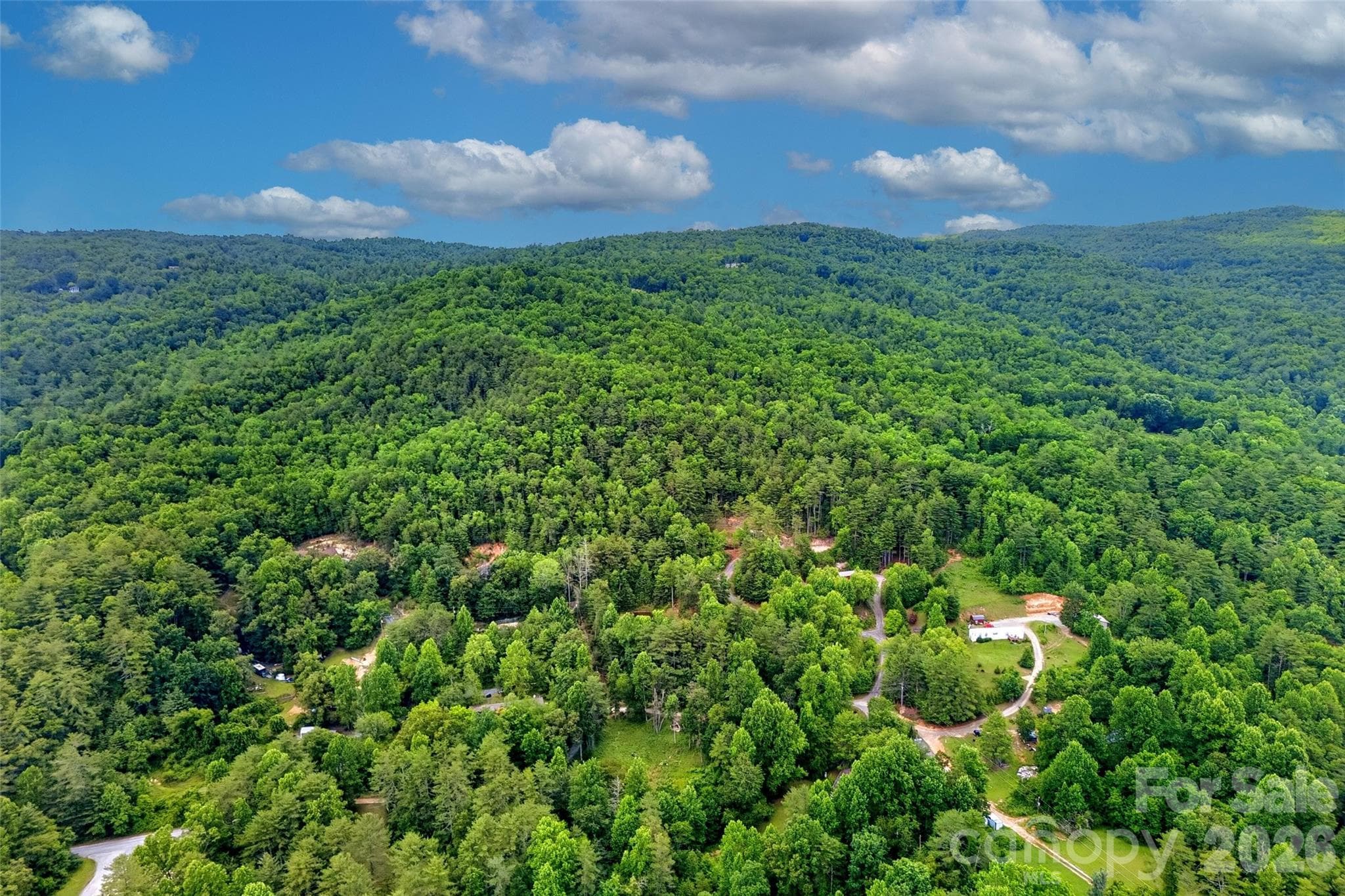 Acreage at 259 E Lester Lane, Hendersonville, photo 13 of 38