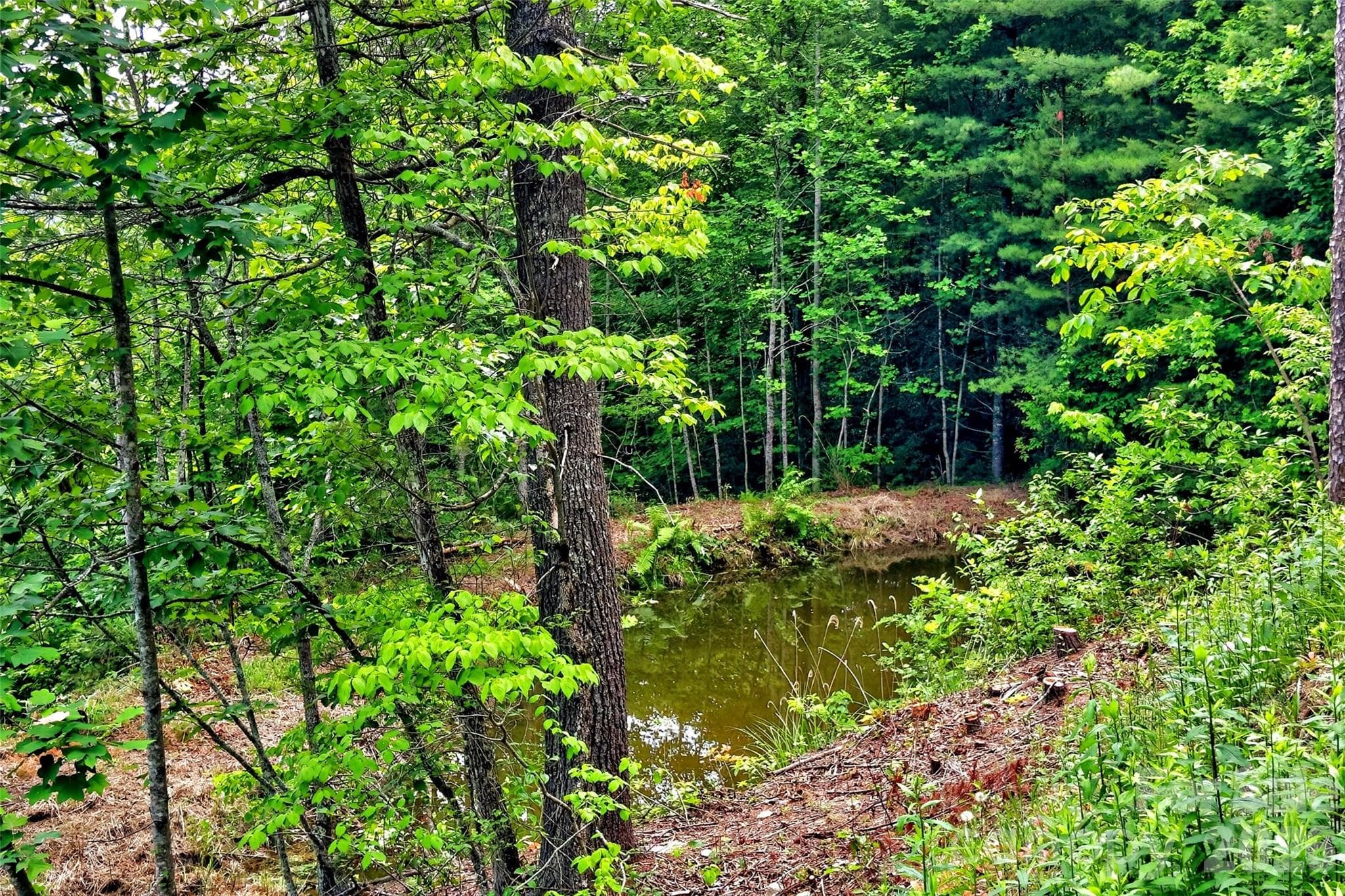 Acreage at 259 E Lester Lane, Hendersonville, photo 19 of 38