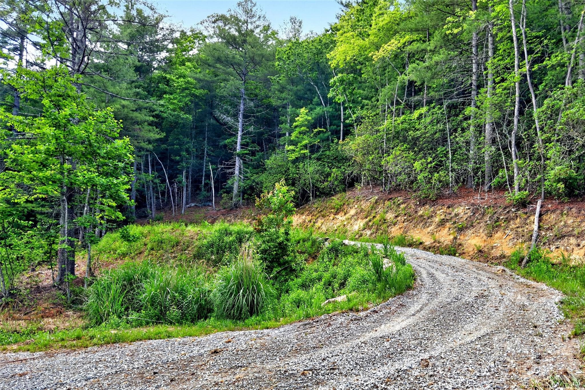 Acreage at 259 E Lester Lane, Hendersonville, photo 20 of 38