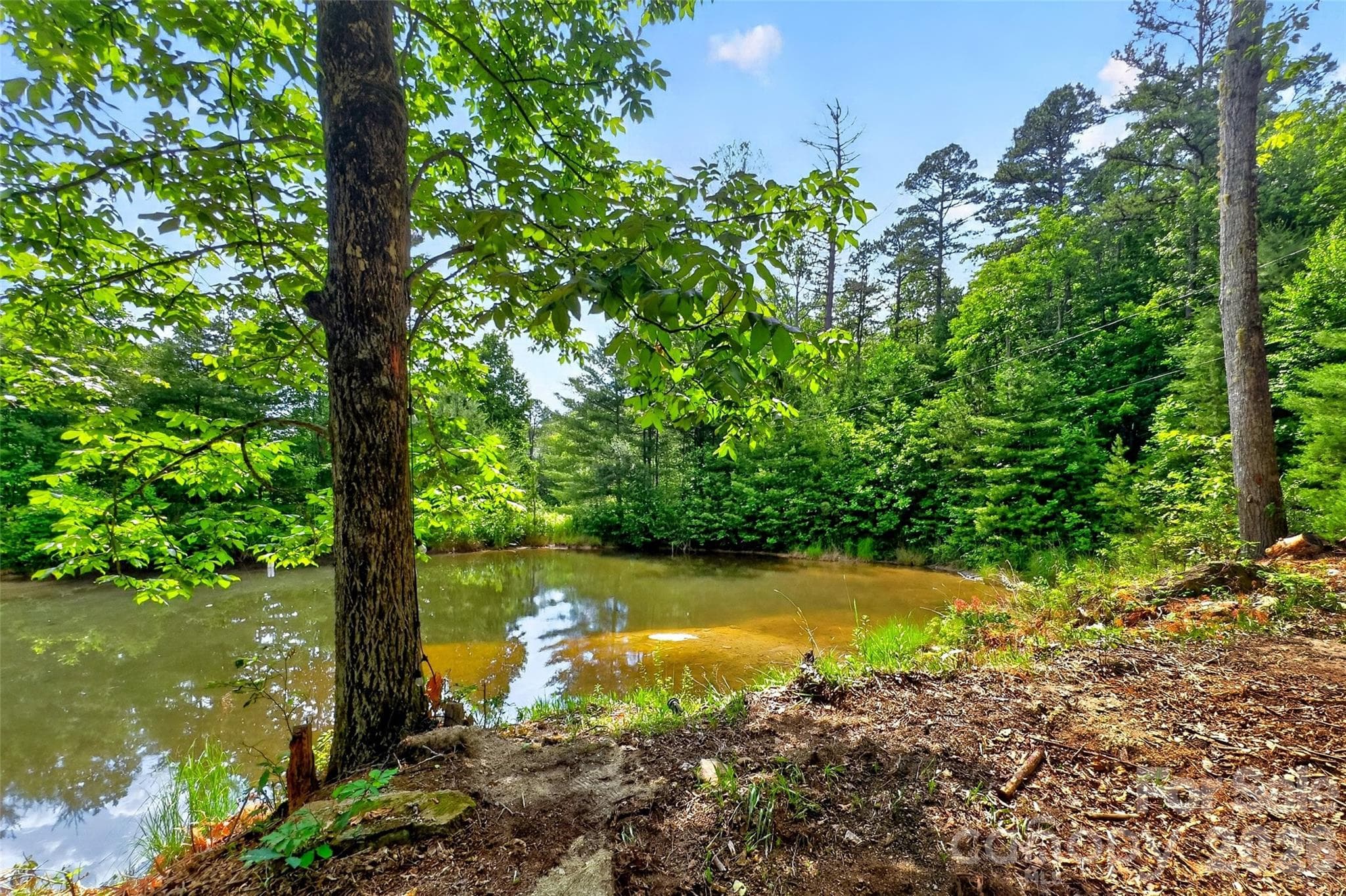 Acreage at Hendersonville, photo 2 of 38