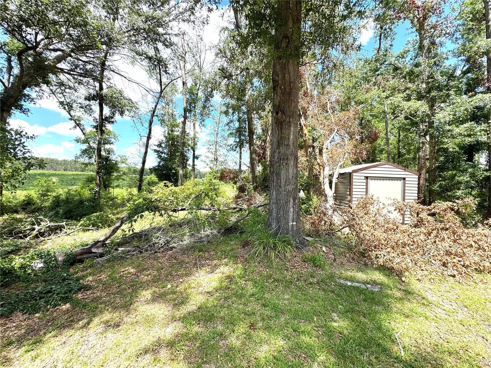 Single Family Residence at 571 NW ZACK DR, LAKE CITY, photo 42 of 45