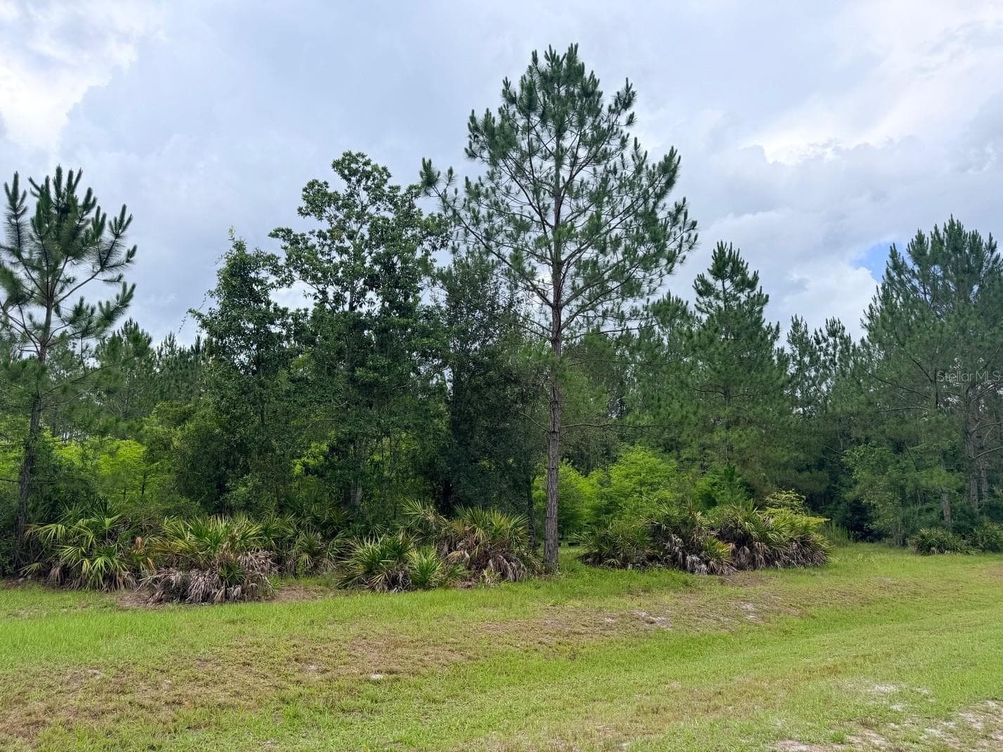 Land at 790 NW 42 TER, CHIEFLAND, photo 30 of 50