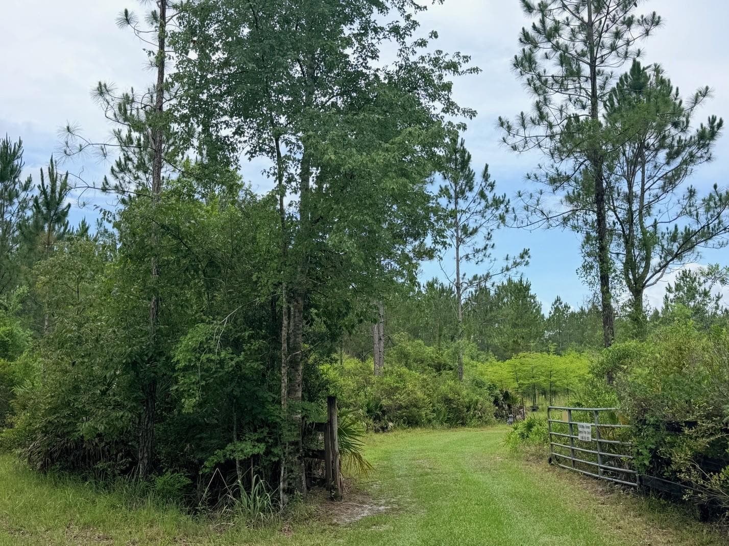 Land at 790 NW 42 TER, CHIEFLAND, photo 32 of 50
