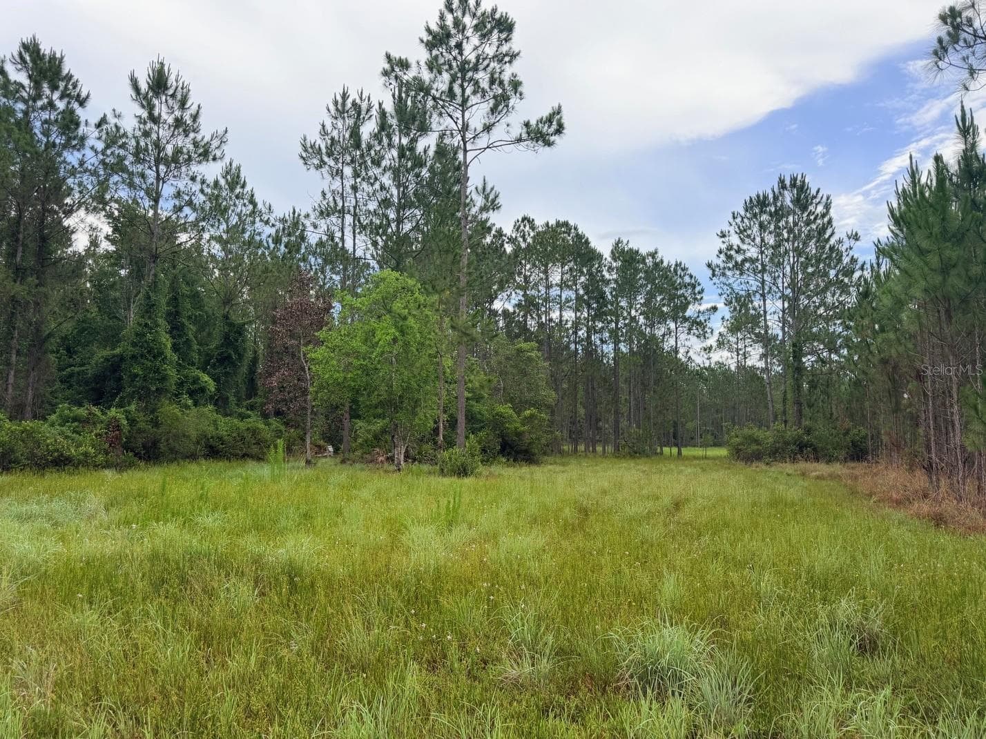 Land at 790 NW 42 TER, CHIEFLAND, photo 33 of 50
