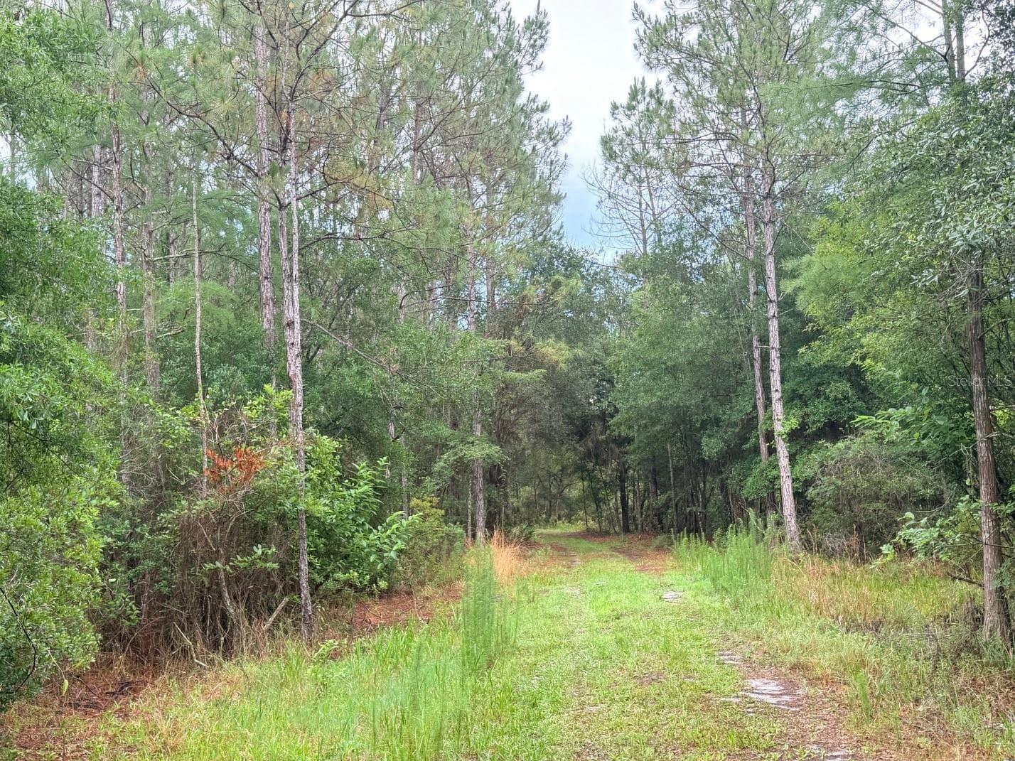 Land at 790 NW 42 TER, CHIEFLAND, photo 35 of 50