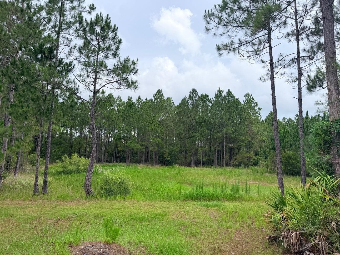 Land at 790 NW 42 TER, CHIEFLAND, photo 39 of 50