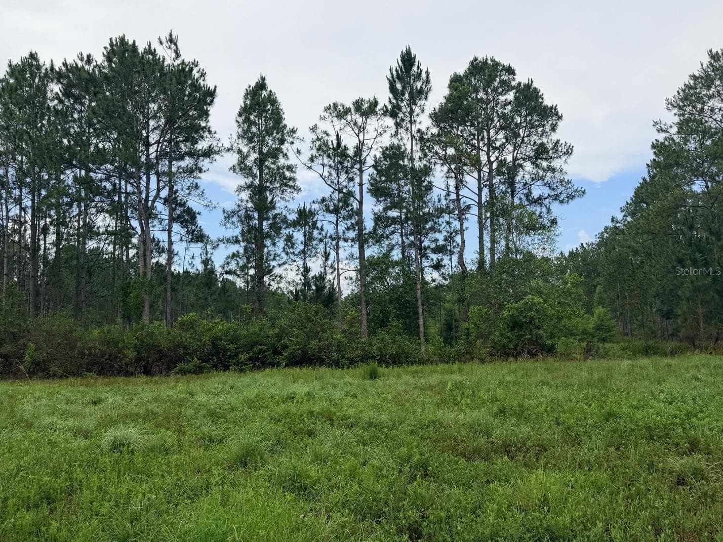 Land at 790 NW 42 TER, CHIEFLAND, photo 43 of 50