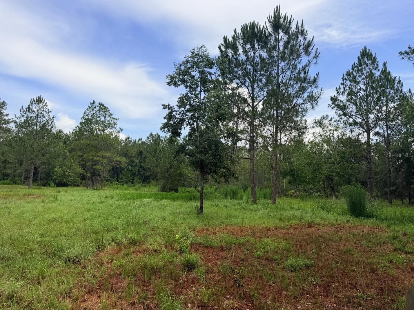 Land at 790 NW 42 TER, CHIEFLAND, photo 44 of 50