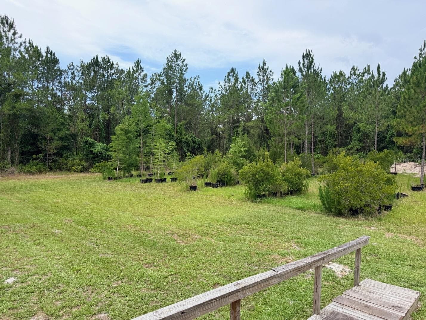 Land at 790 NW 42 TER, CHIEFLAND, photo 46 of 50