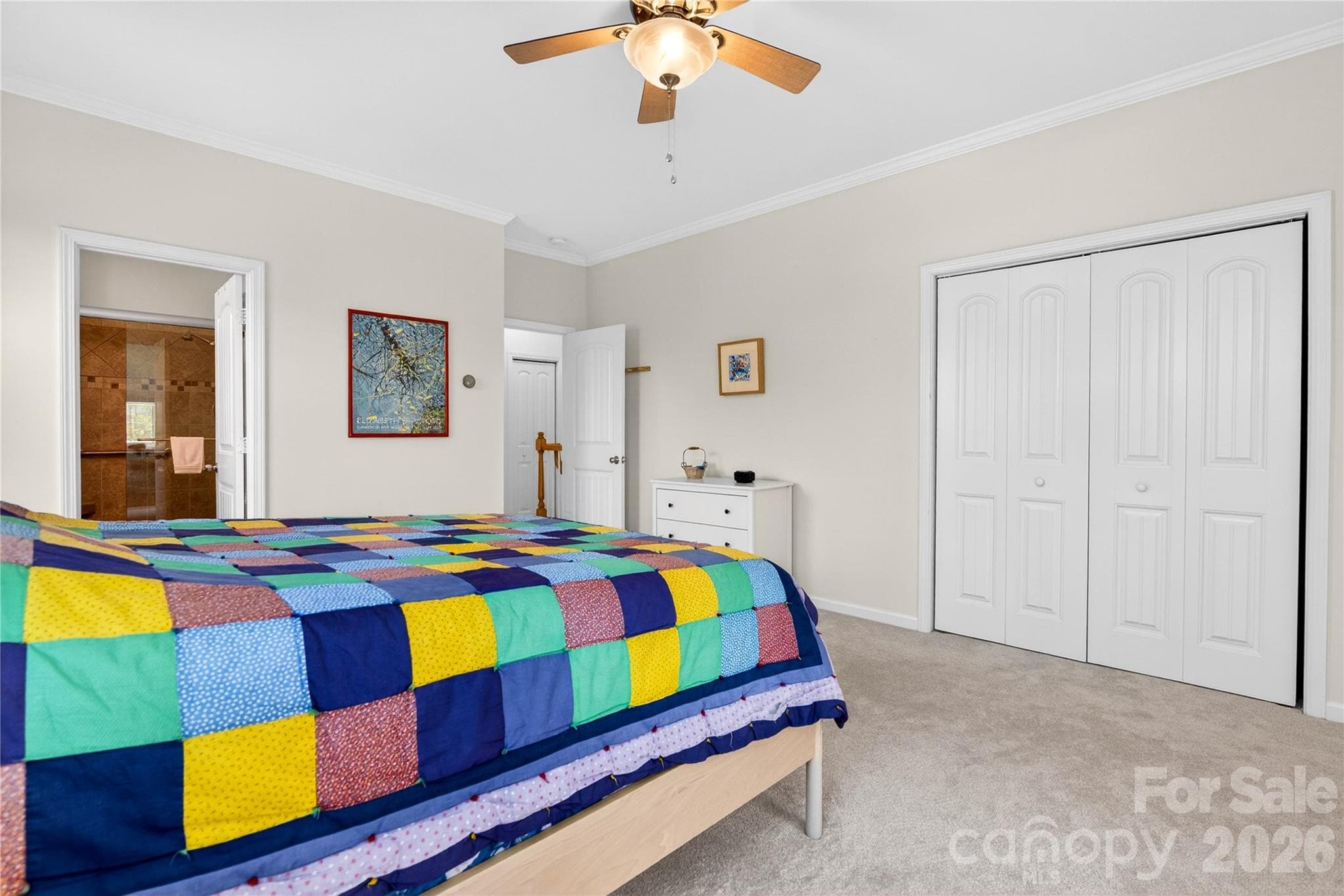 Primary bedroom #3 w/large closet and entry into Primary bath with walk in Shower - 278 Davidson Gateway Drive, Davidson