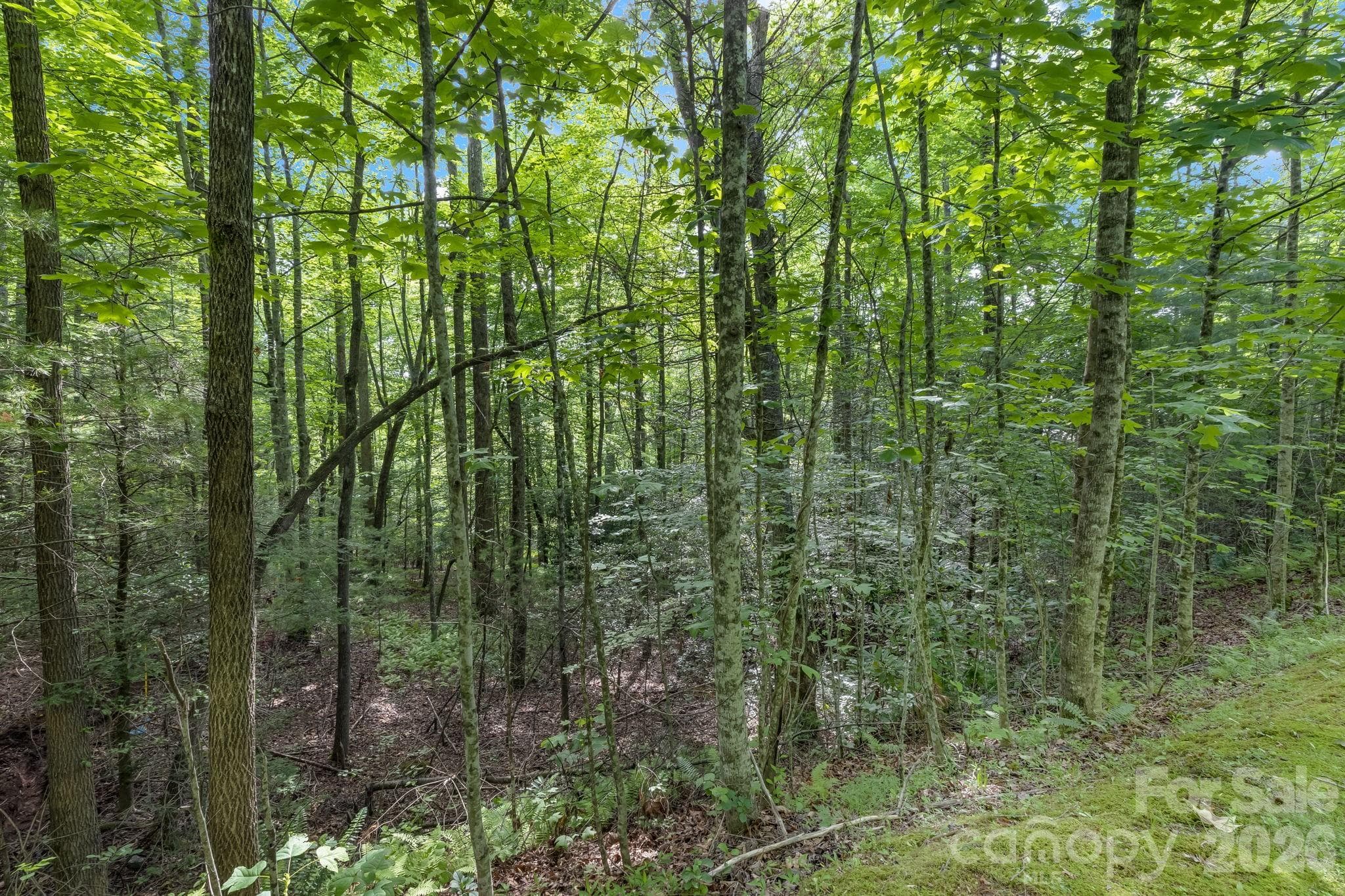 Lot at Brevard, photo 18 of 44