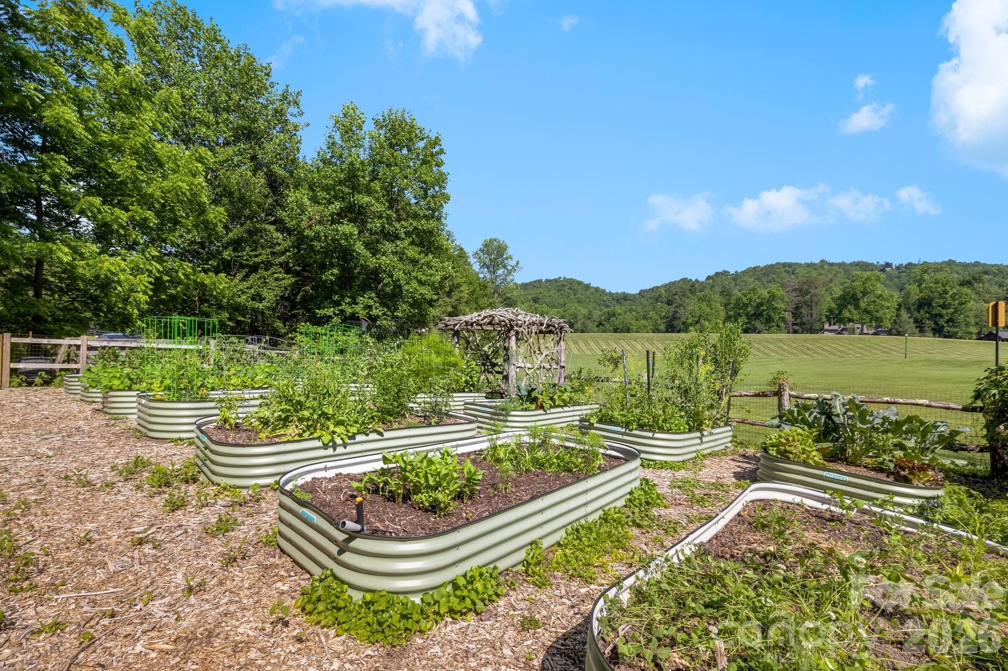 Lot at Brevard, photo 33 of 44