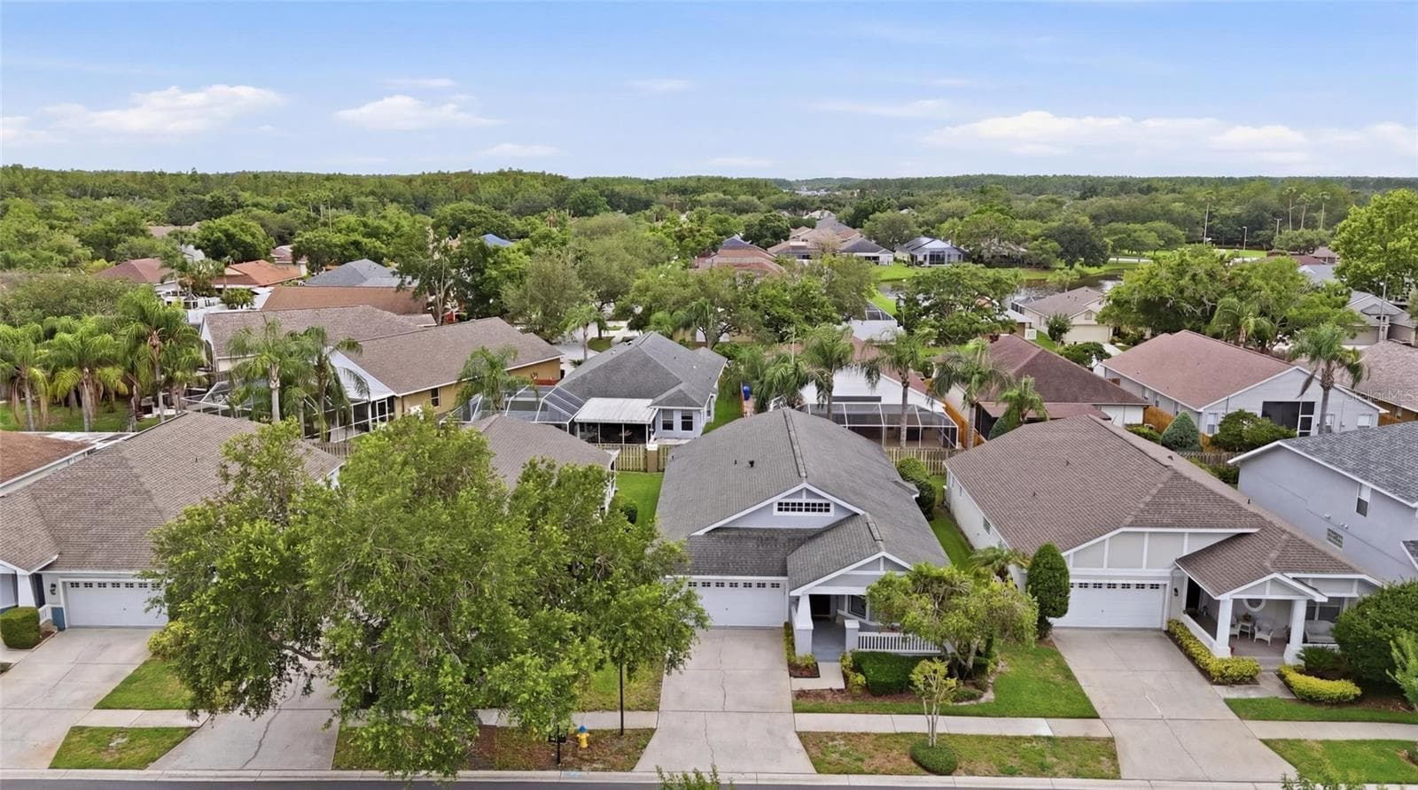 Single Family Residence at 4613 CORSAGE DR, LUTZ, photo 44 of 50