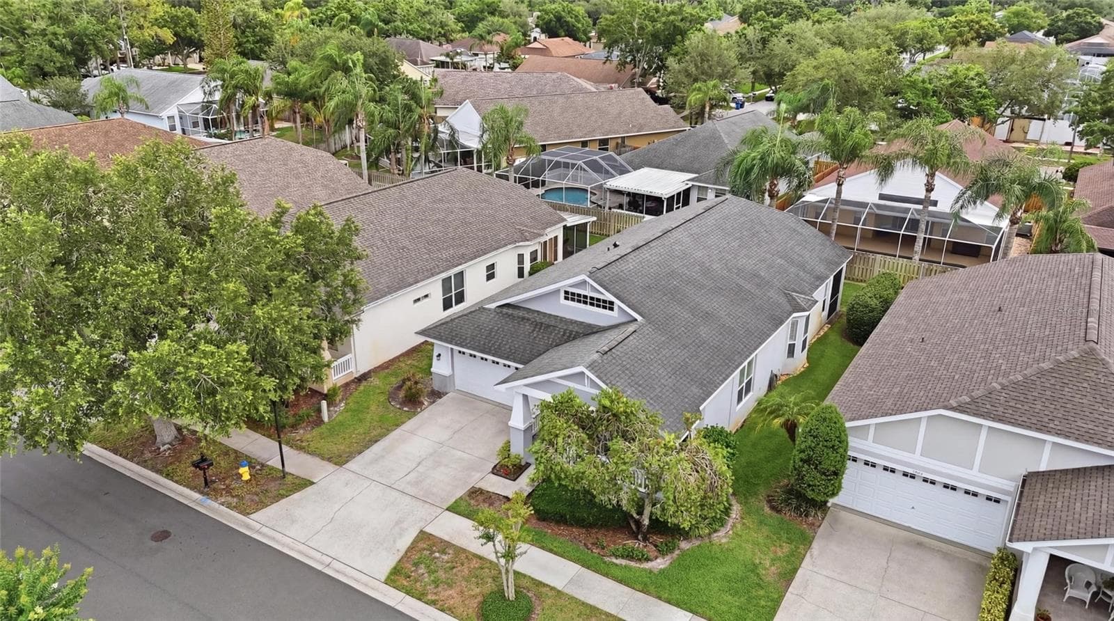 Single Family Residence at 4613 CORSAGE DR, LUTZ, photo 50 of 50