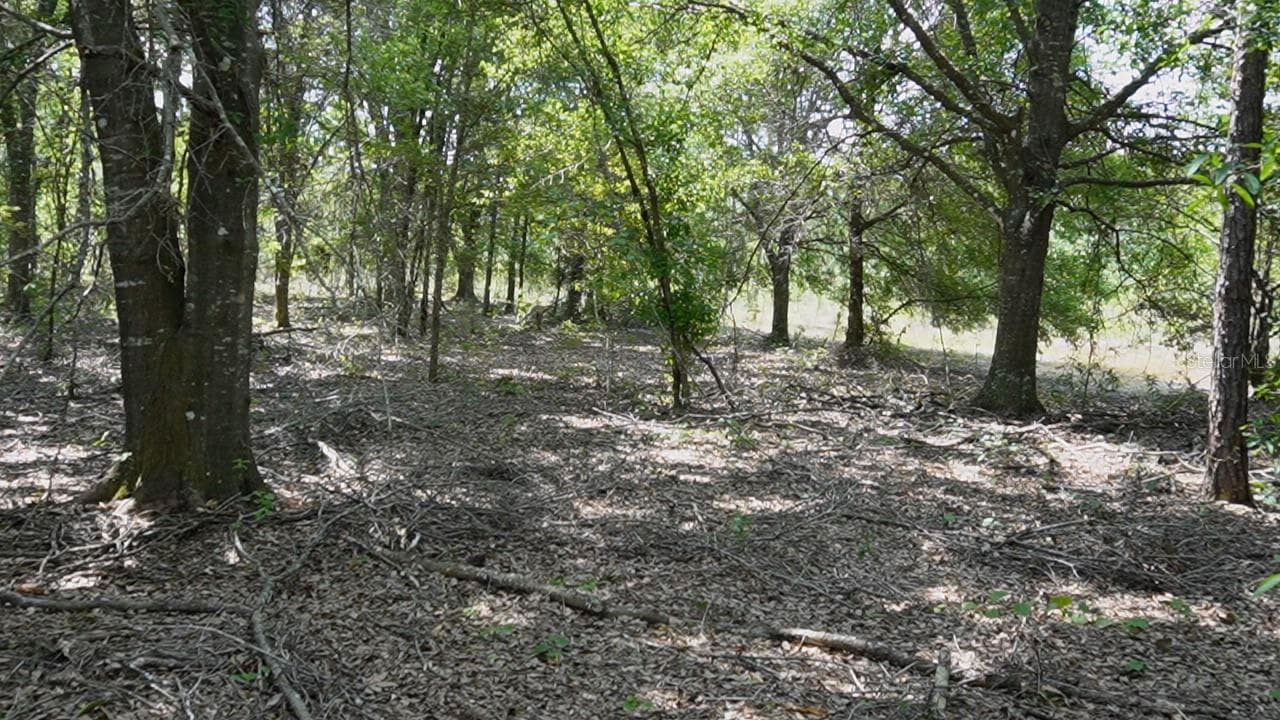 Land at ASPEN MEADOWS, POLK CITY, photo 8 of 16