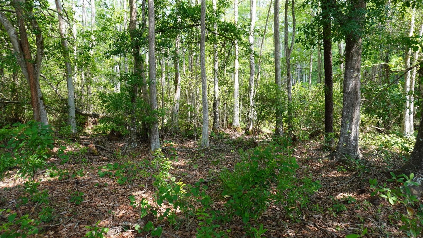 Land at ASPEN MEADOWS, POLK CITY, photo 9 of 16