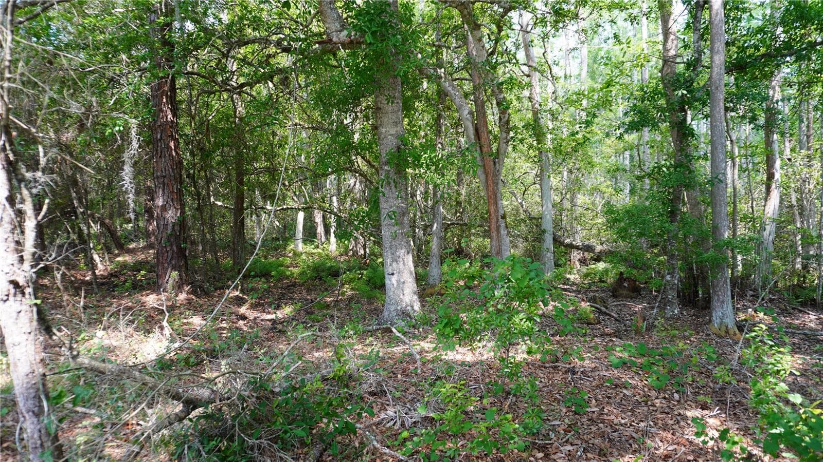 Land at ASPEN MEADOWS, POLK CITY, photo 10 of 16