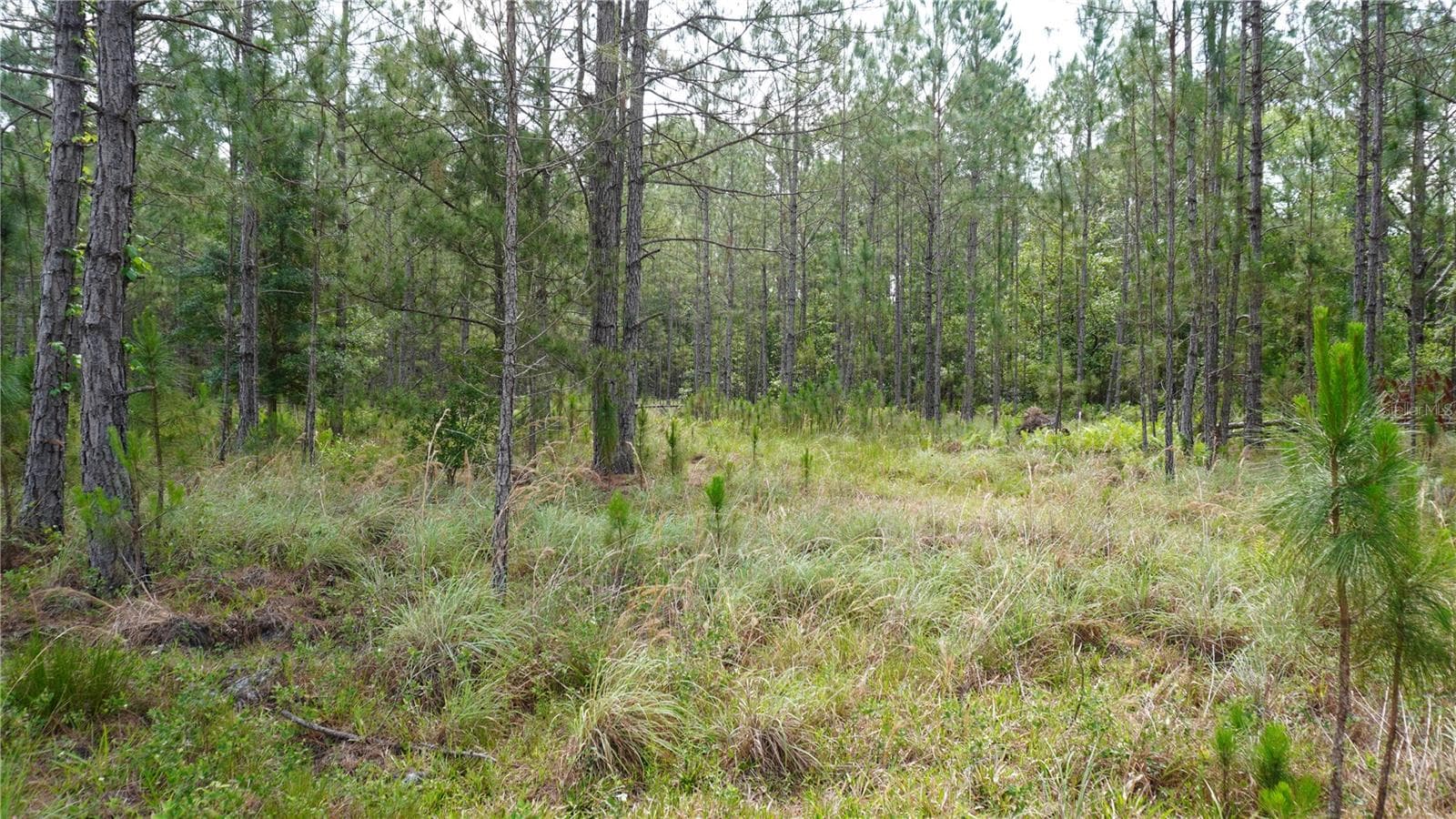 Land at ASPEN MEADOWS, POLK CITY, photo 11 of 16