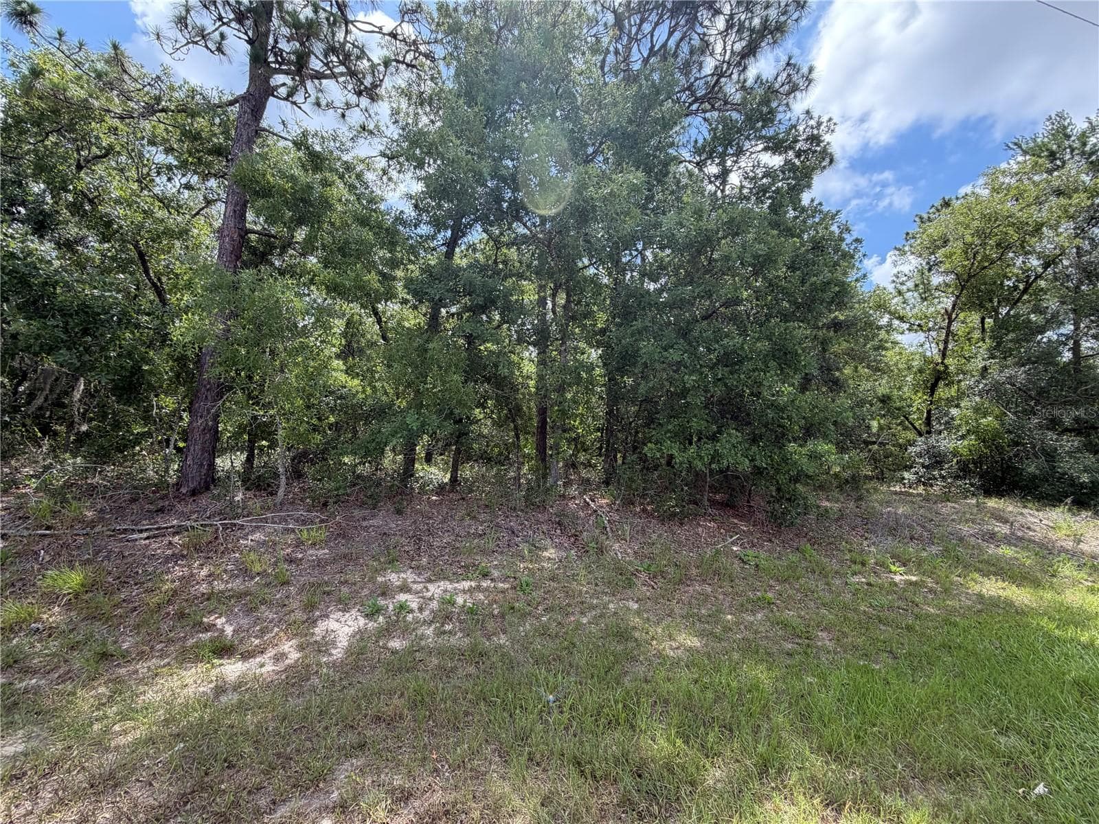 Land at 1 HAZELWOOD DR, HOMOSASSA, photo 7 of 7