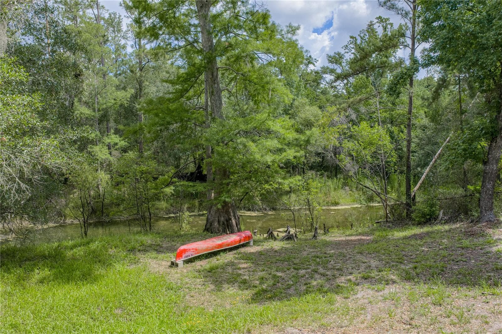 Single Family Residence at 33065 CEDONIA RD, DADE CITY, photo 36 of 41