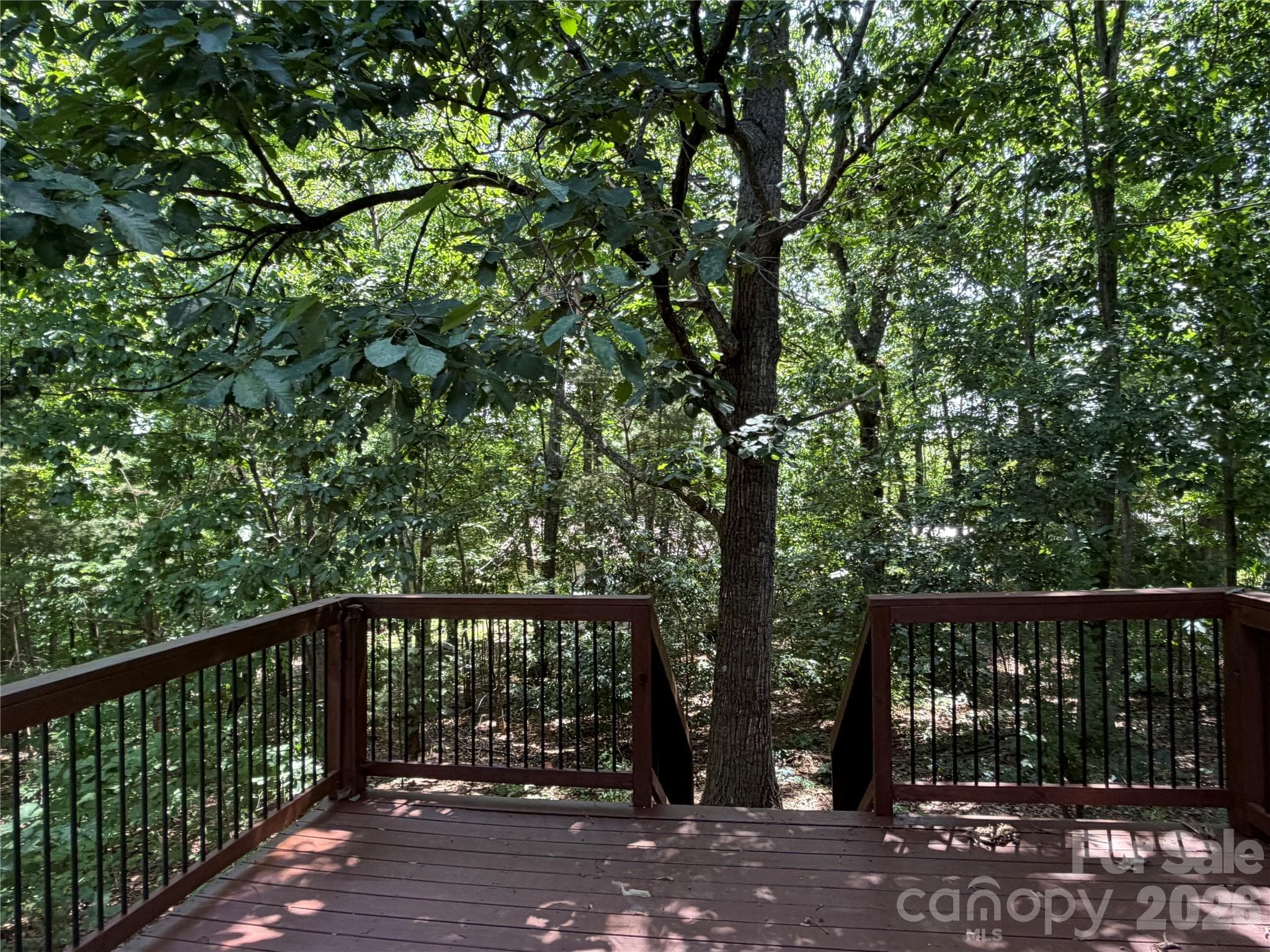 Single Family Residence at 3930 Ashland Drive, Maiden, photo 3 of 12