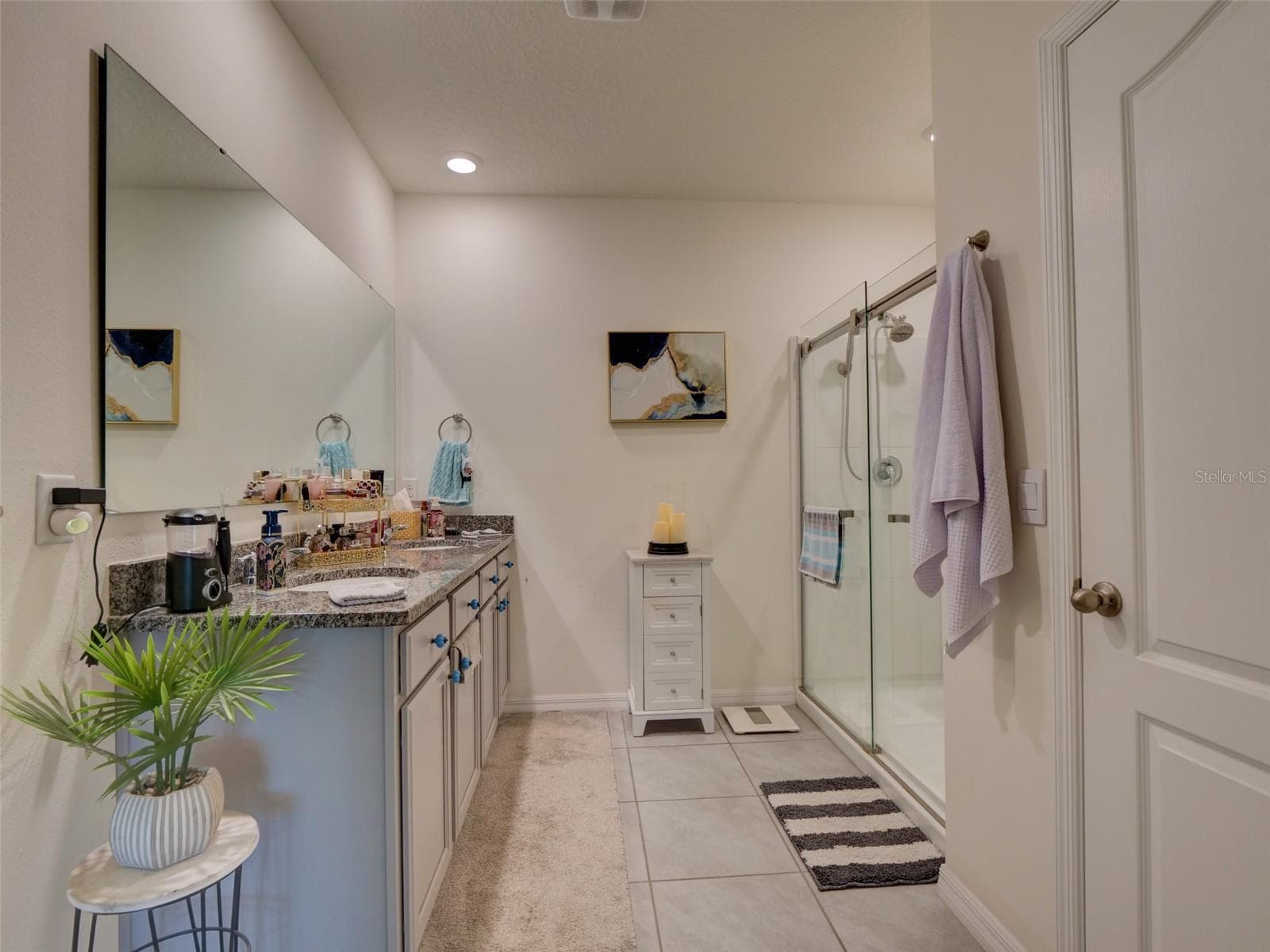 MASTER BATHROOM - 11244 AMBER RIDGE DR, ZELLWOOD