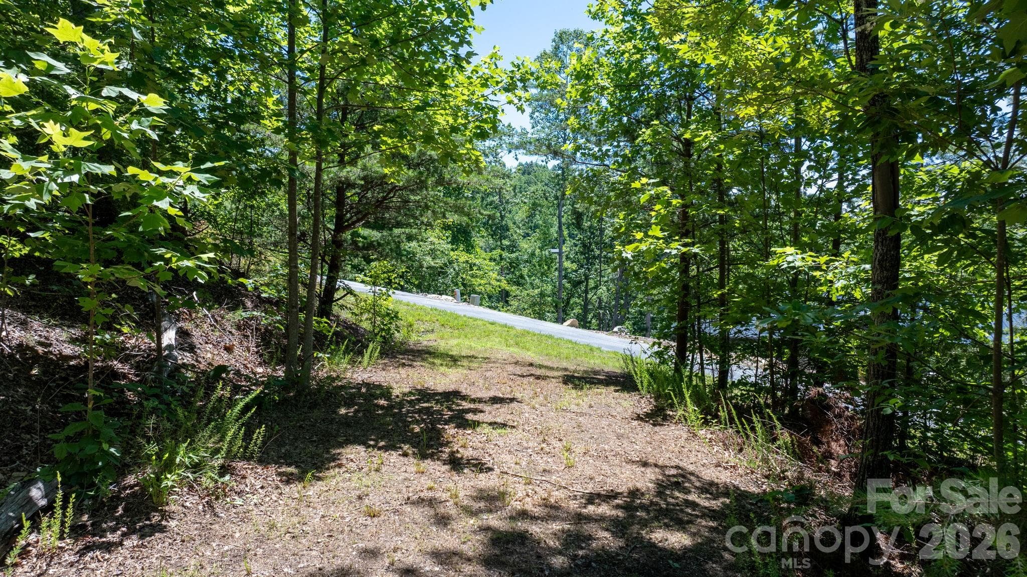 Acreage at Nebo, photo 4 of 22