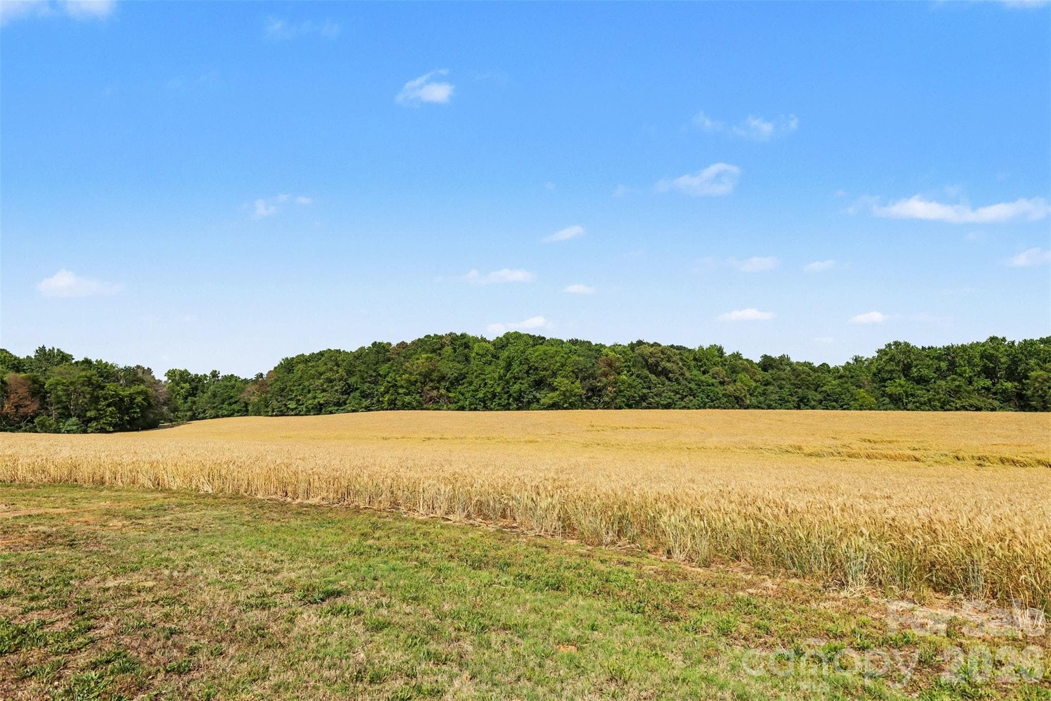 Acreage at 6710 Effie Whitley Road, Monroe, photo 3 of 48