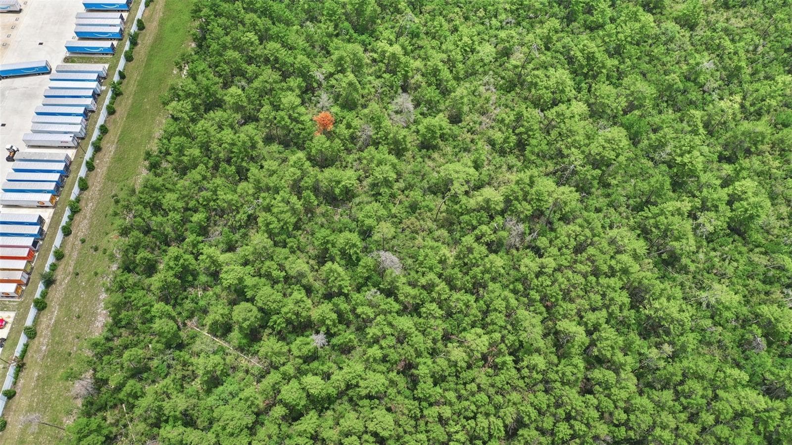 Land at AMELIA (PAPER) AVE, DELTONA, photo 24 of 28