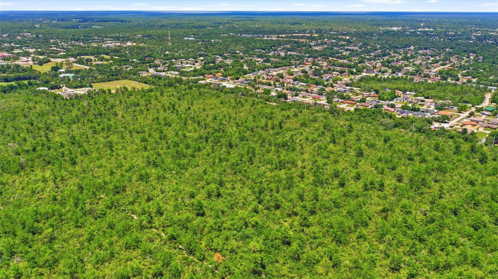 Land at AMELIA (PAPER) AVE, DELTONA, photo 6 of 28