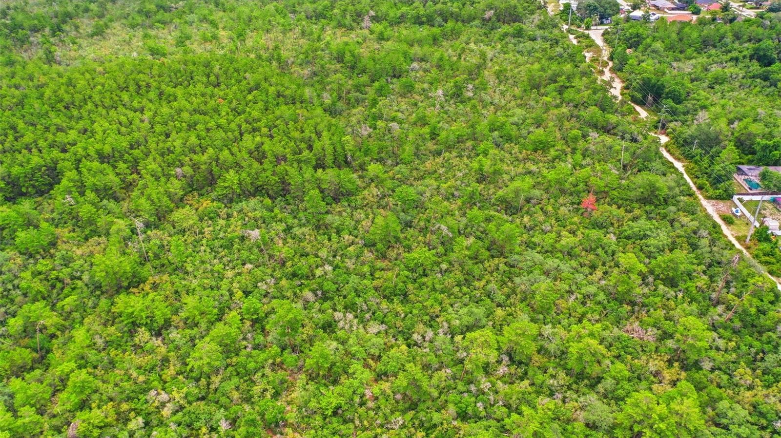 Land at WOLVERINE (PAPER) AVE, DELTONA, photo 14 of 28