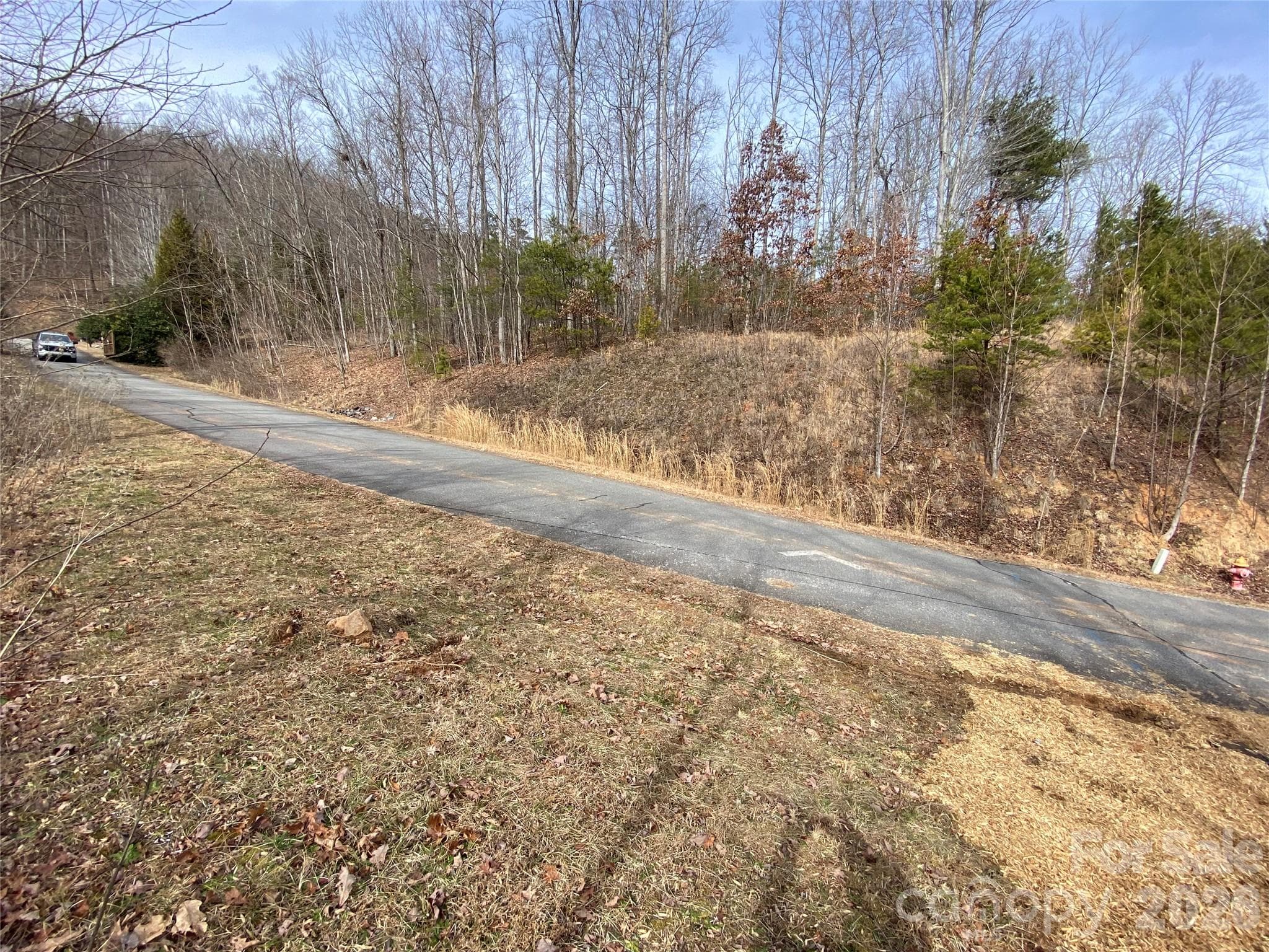 Lot at 46 Holmstead Drive, Lake Lure, photo 4 of 29