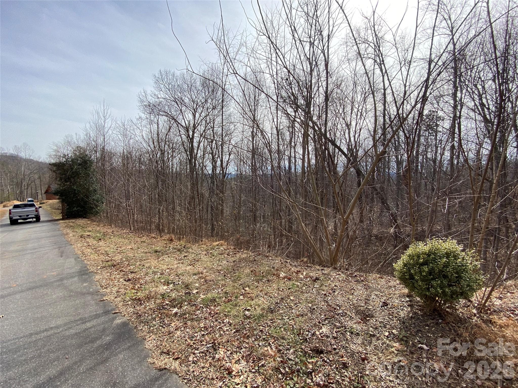 Lot at 46 Holmstead Drive, Lake Lure, photo 10 of 29
