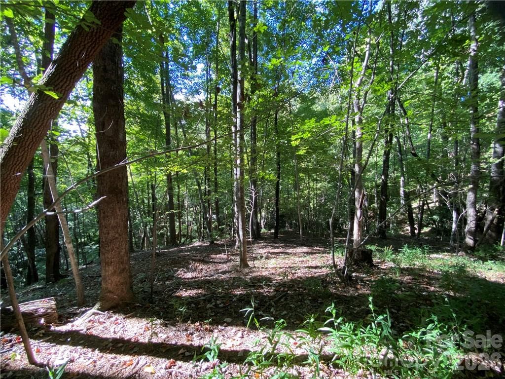 Lot at 46 Holmstead Drive, Lake Lure, photo 21 of 29