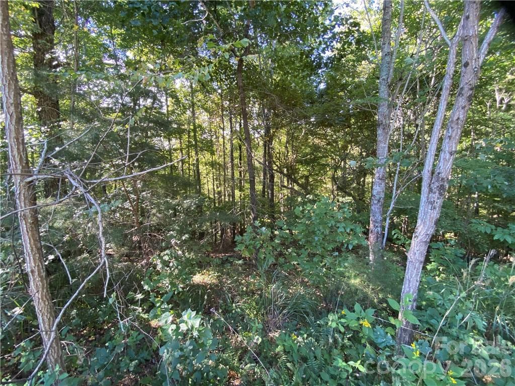 Lot at 46 Holmstead Drive, Lake Lure, photo 22 of 29