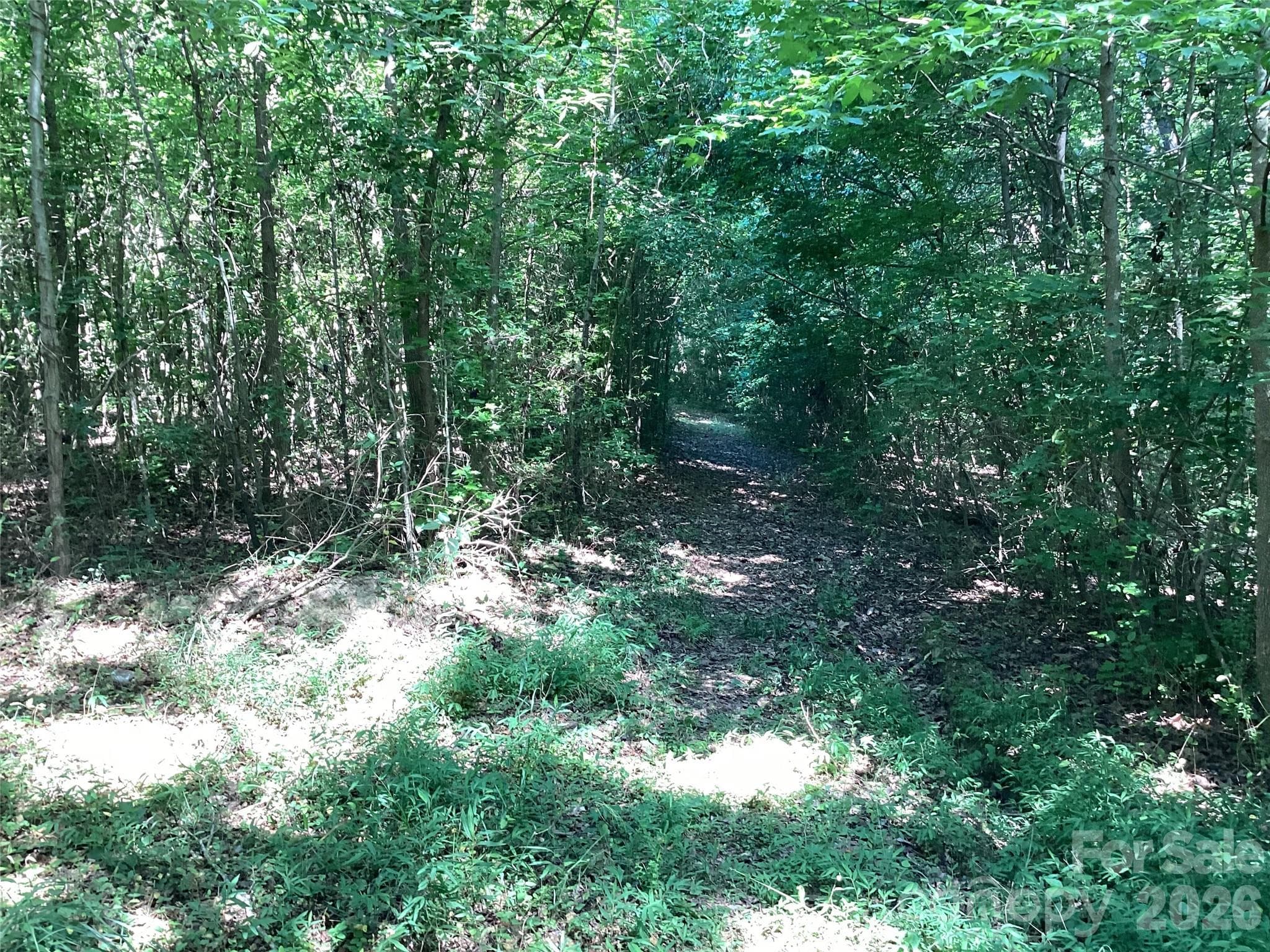 Trail through forest - 2870 Dunns Mountain Road, Salisbury