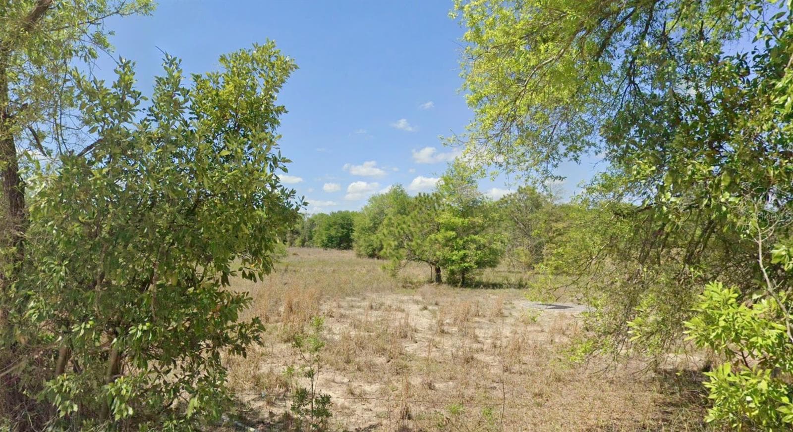 Land at OFF NW CR-138 #Lot 71 & 95, BRANFORD, photo 4 of 15