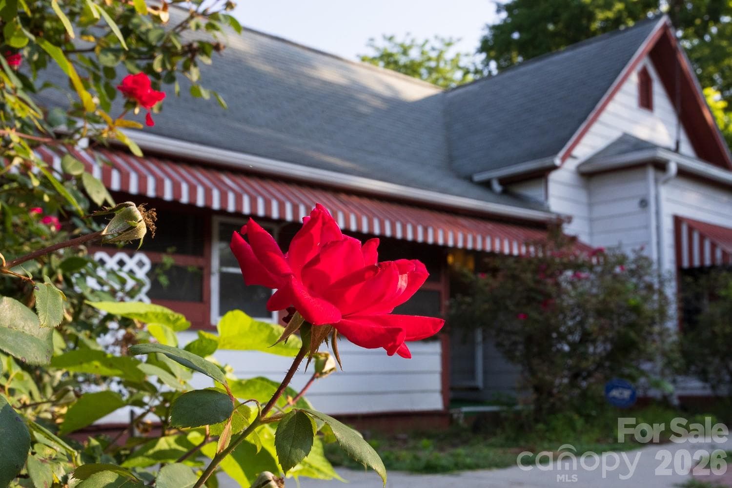 Single Family Residence at Asheville, photo 3 of 40