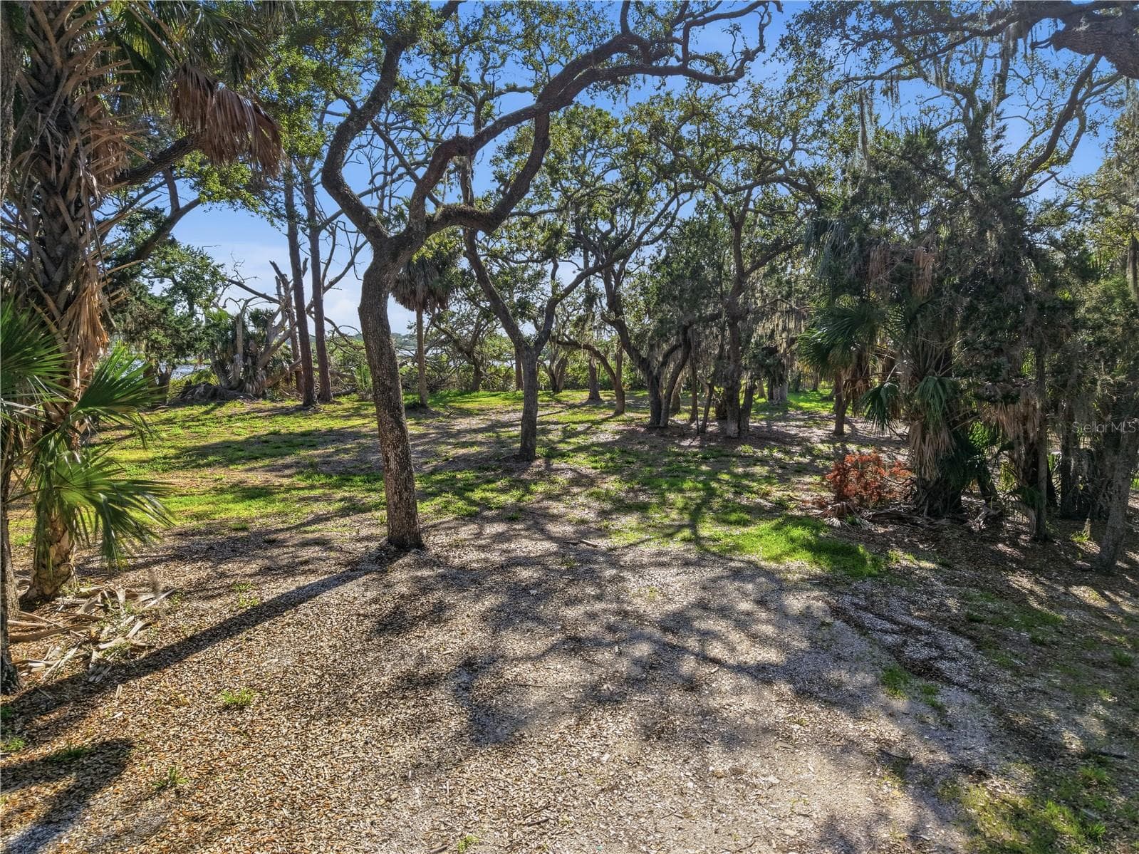 Land at 15780 SUNSET POINT DR, CEDAR KEY, photo 13 of 20