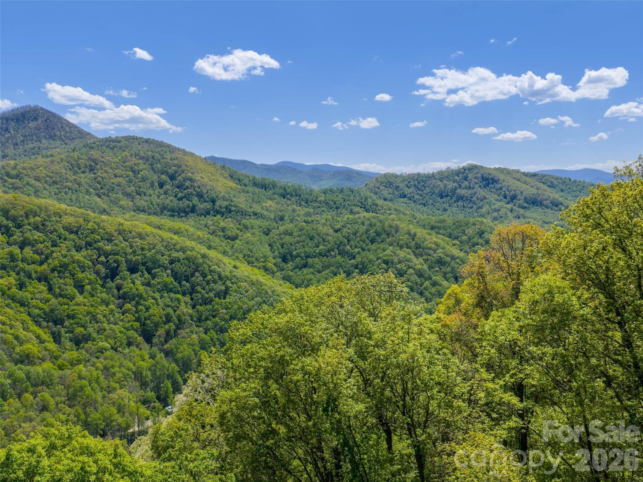 Lot at 0000 Lovebird Lane, Candler, photo 15 of 20
