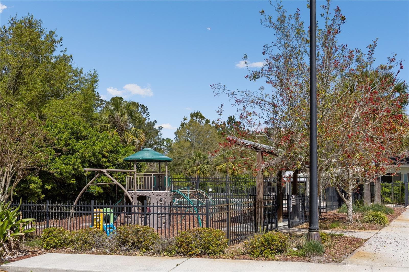 The Preserve at Laurel Lake community amenities - 247 SW BELLFLOWER DR, LAKE CITY