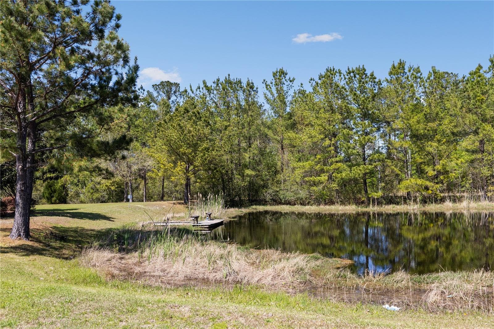 The Preserve at Laurel Lake community amenities - 247 SW BELLFLOWER DR, LAKE CITY
