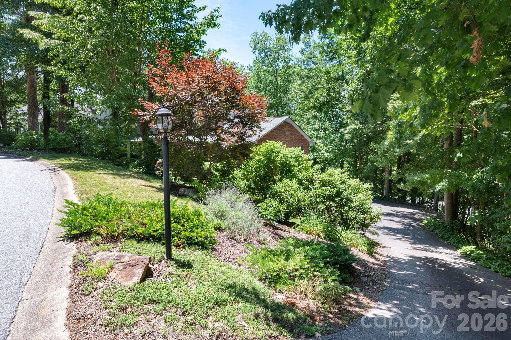 Lovely Mature Landscaping - 107 Ballantree Drive, Asheville