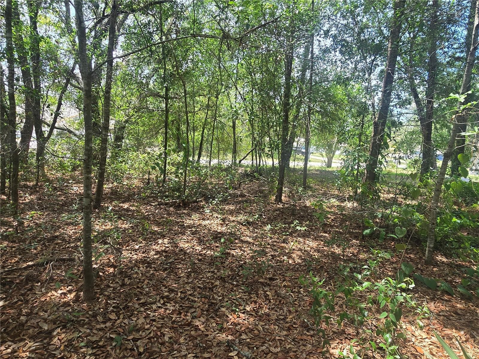 Land at 8467 N EMPIRE AVE, CITRUS SPRINGS, photo 8 of 12