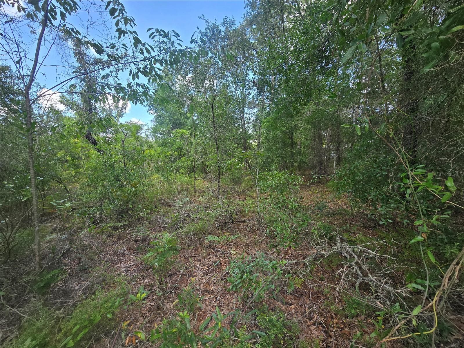 Land at 8365 N IBSEN DR, CITRUS SPRINGS, photo 5 of 11