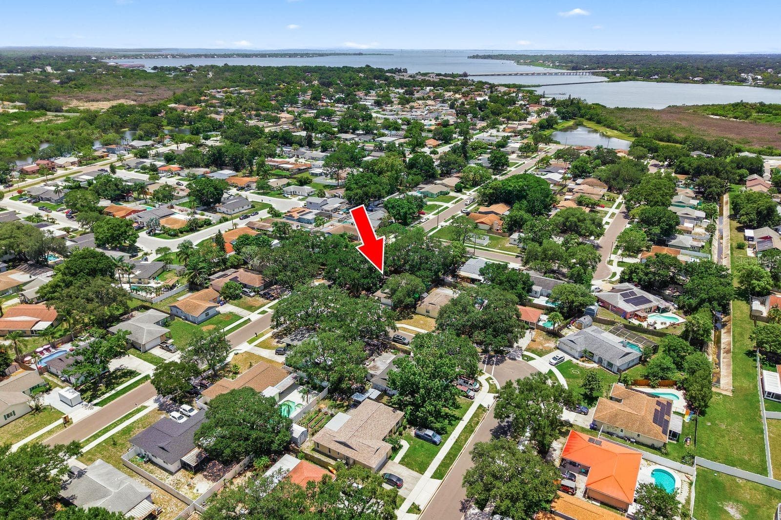 Property Elevation - 442 EVERGREEN DR, OLDSMAR
